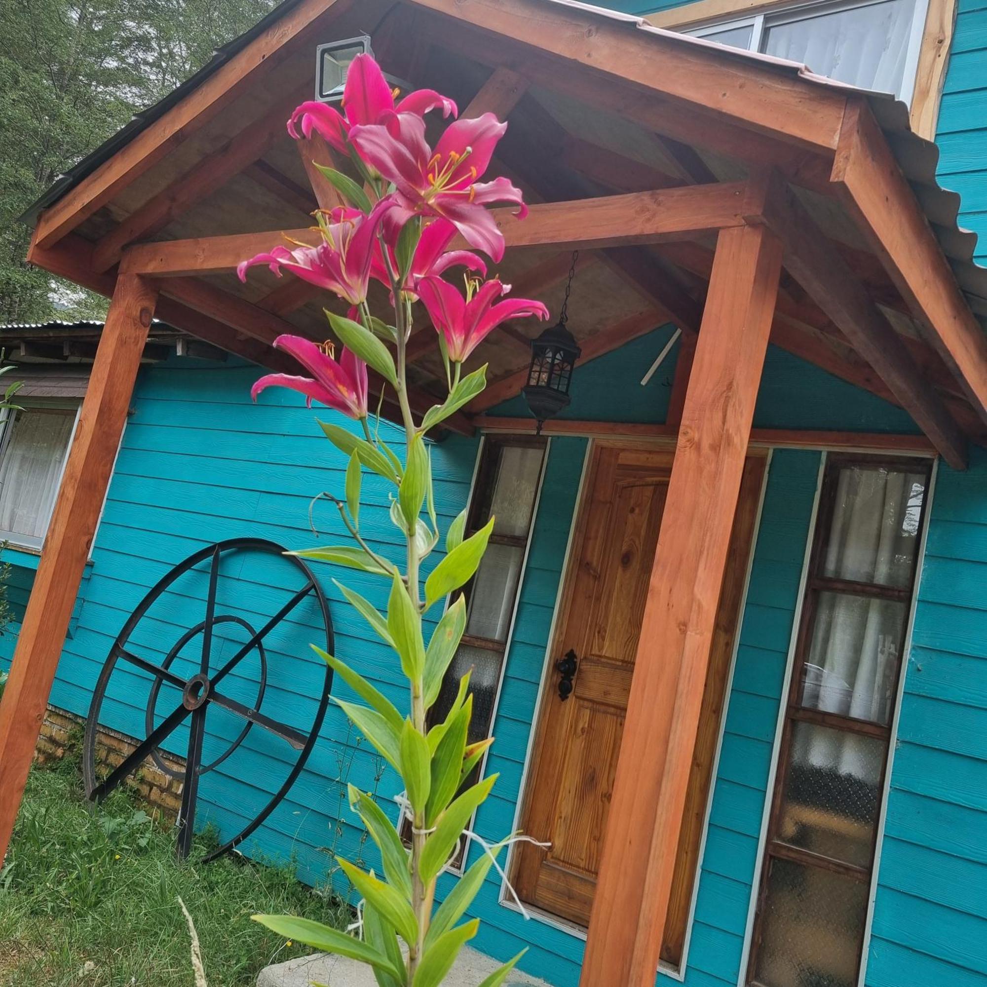 Cabanas Jade Cochamo Eksteriør bilde